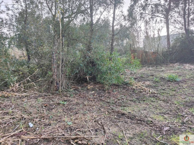 Terreno para Venda em Oiã Foto 8