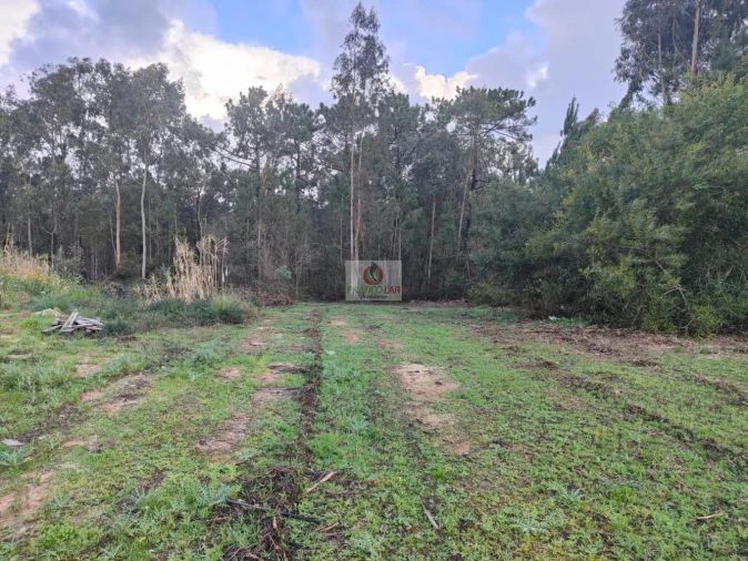 Terreno para Venda em Oiã Foto 9