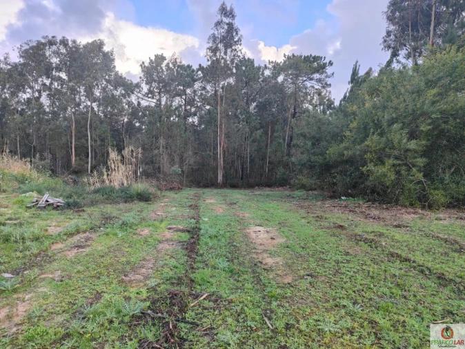 Terreno para Venda em Oiã Foto 9