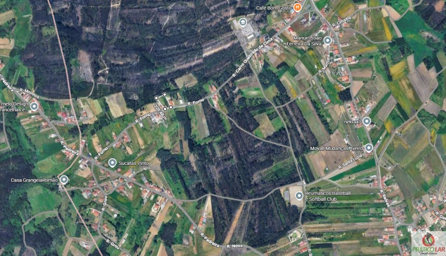 Terreno para Venda em Oiã Foto 2