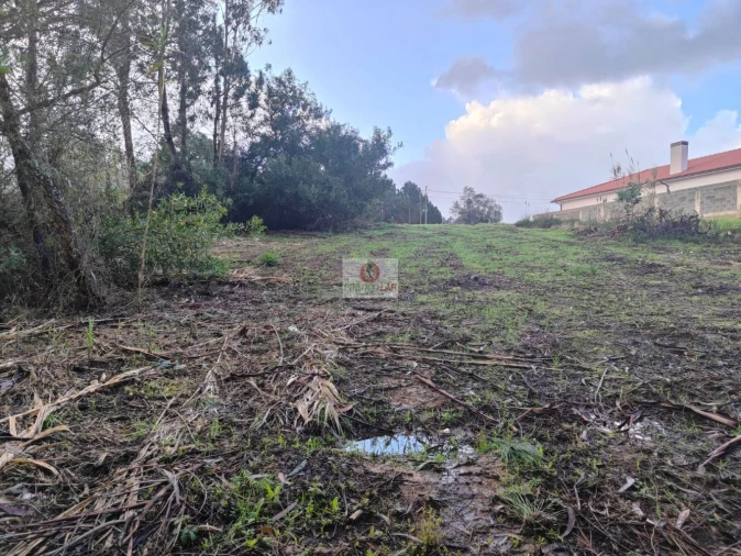 Terreno para Venda em Oiã Foto 5