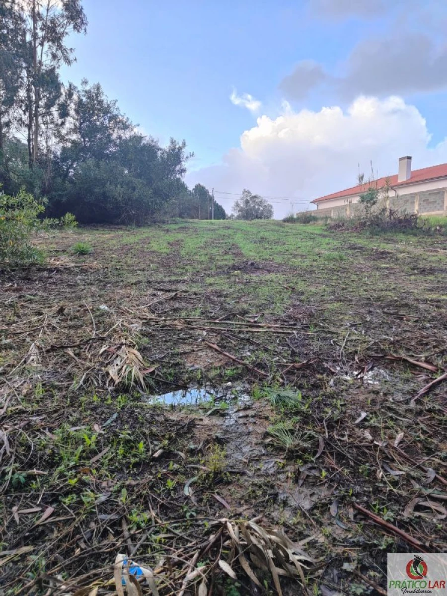Terreno para Venda em Oiã Foto 3