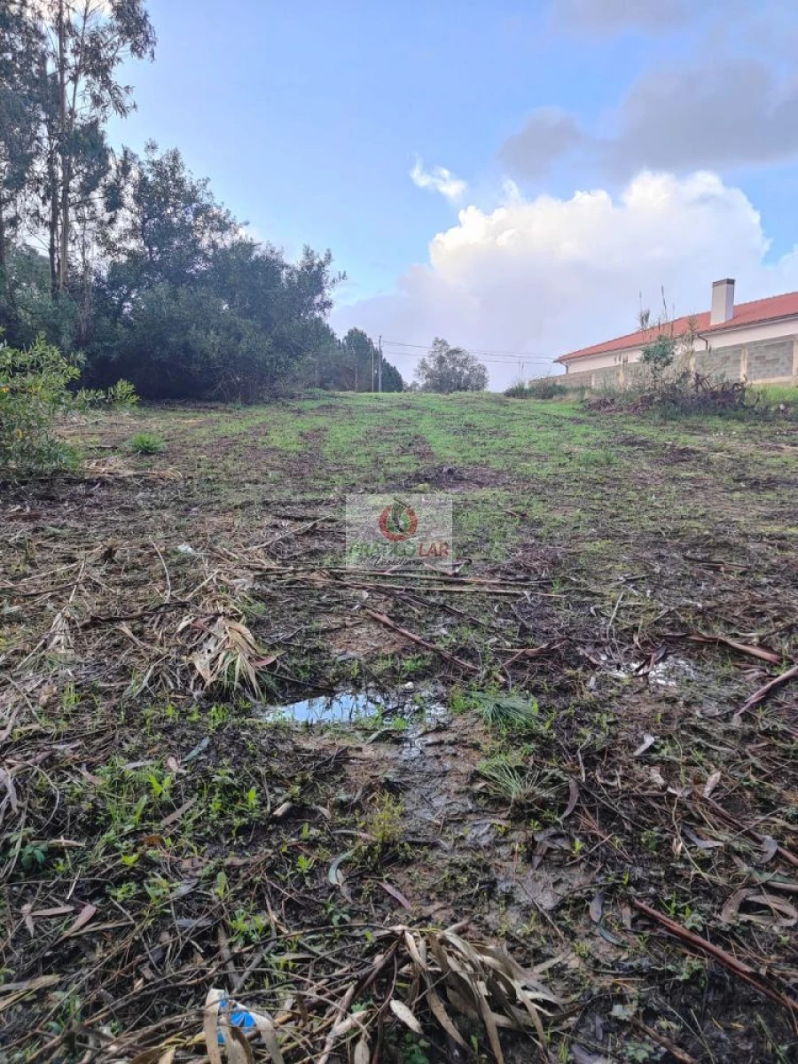 Terreno para Venda em Oiã Foto 3