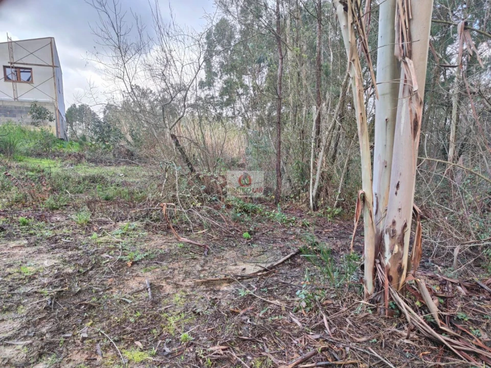 Terreno para Venda em Oiã Foto 7