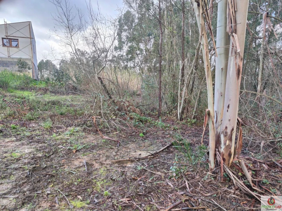 Terreno para Venda em Oiã Foto 7