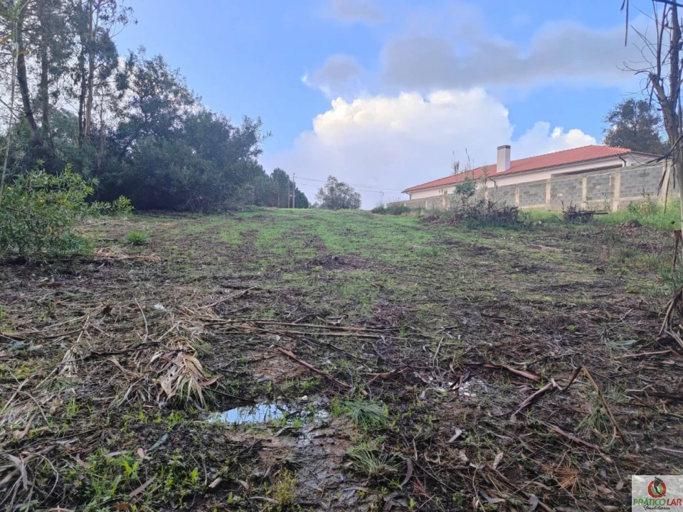 Terreno para Venda em Oiã Foto 11