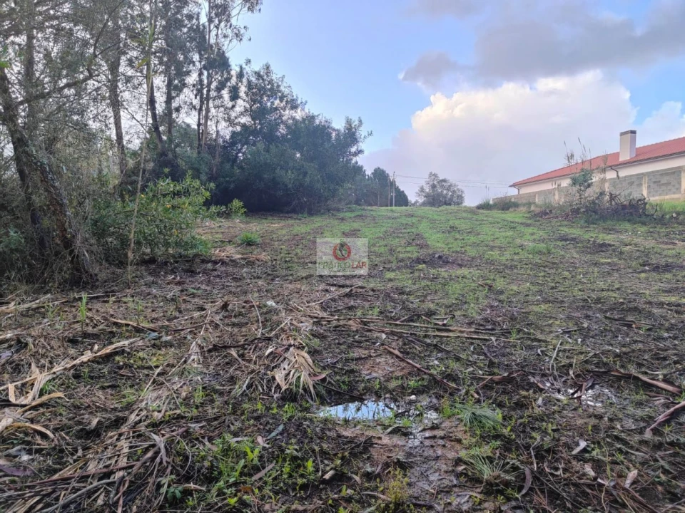 Terreno para Venda em Oiã Foto 5