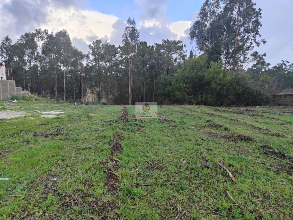 Terreno para Venda em Oiã Foto 10