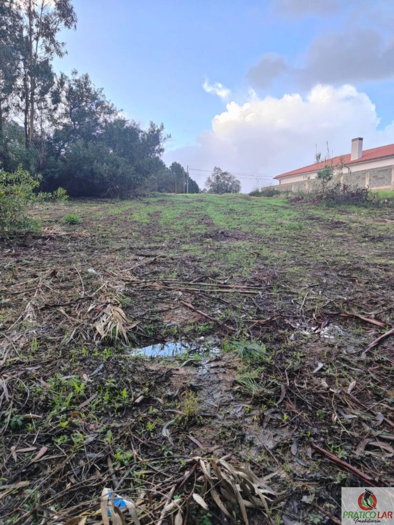 Terreno para Venda em Oiã Foto 3