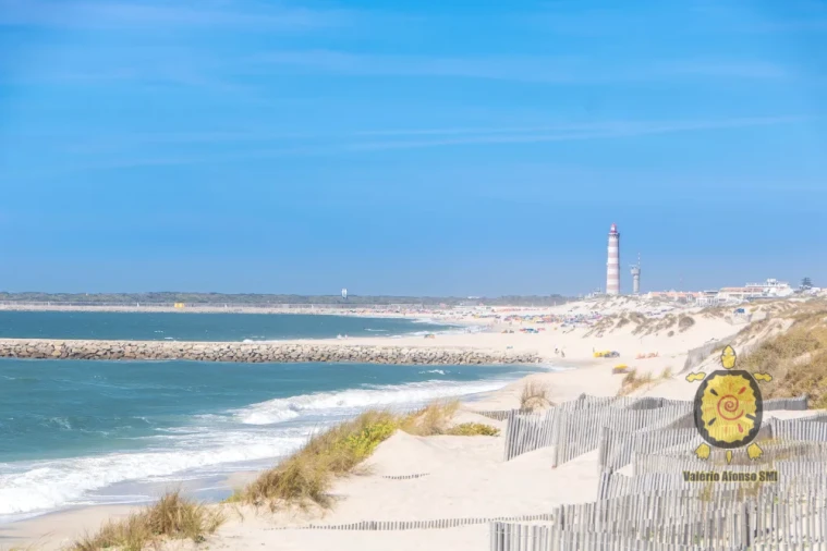 Terreno para Venda em Gafanha da Nazaré Foto 3