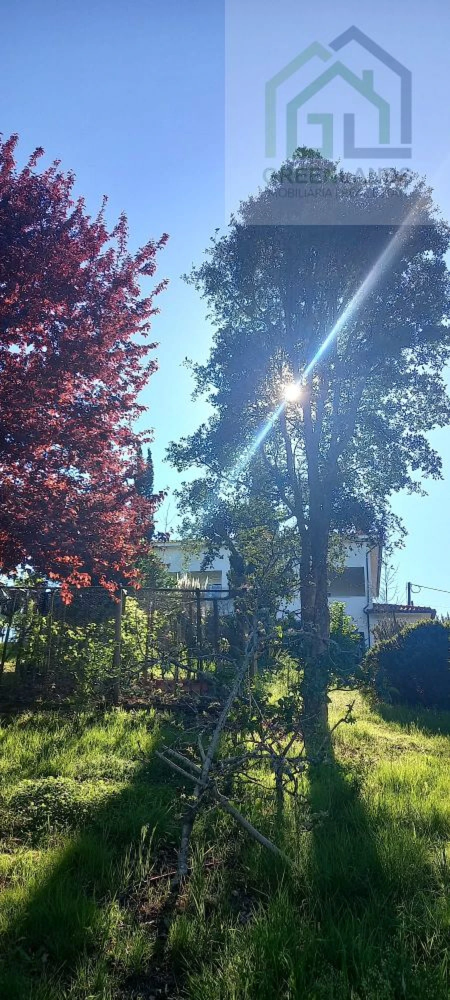 Quinta T8 para Venda em Serpins Foto 60