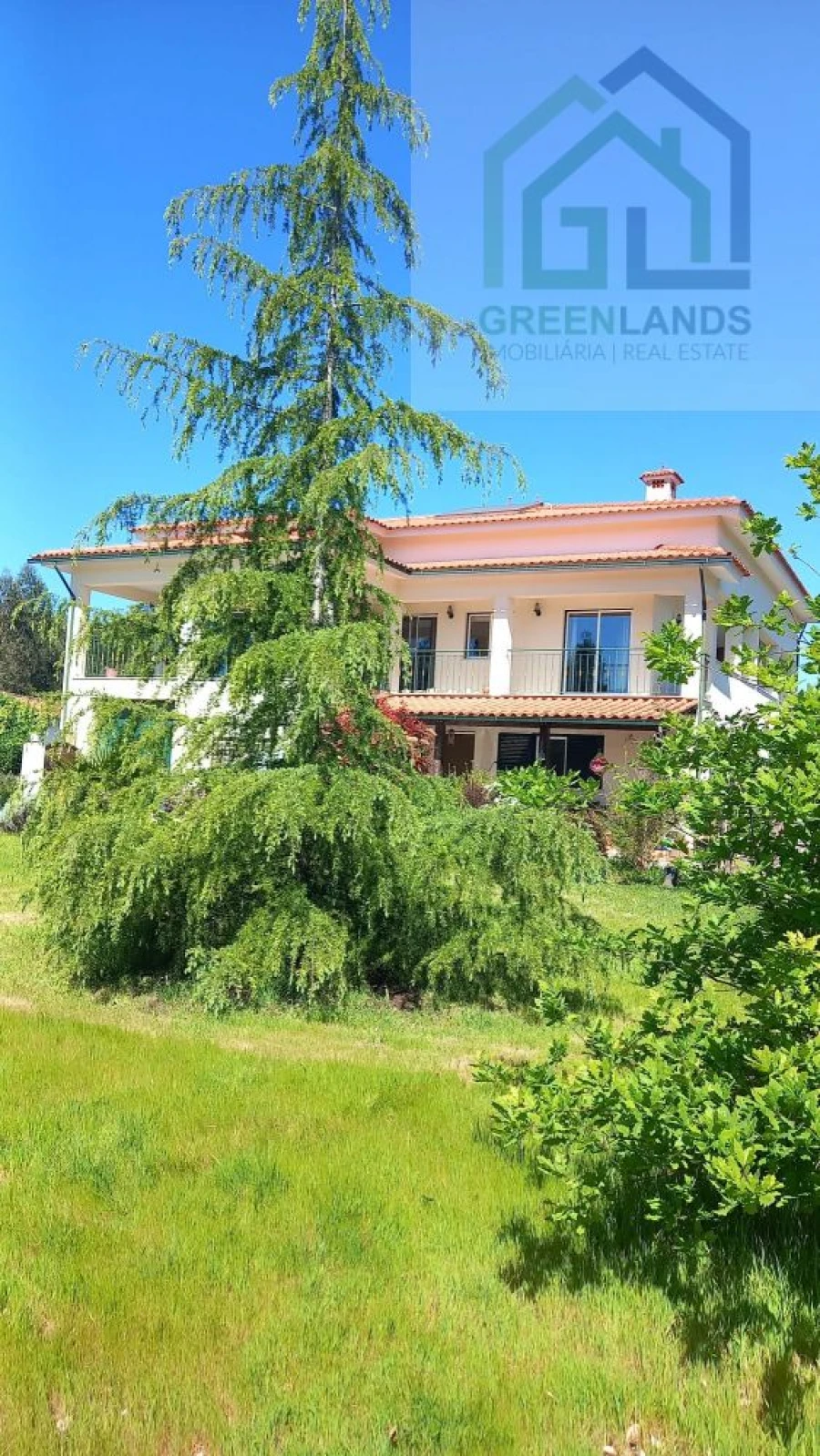 Quinta T8 para Venda em Serpins Foto 1