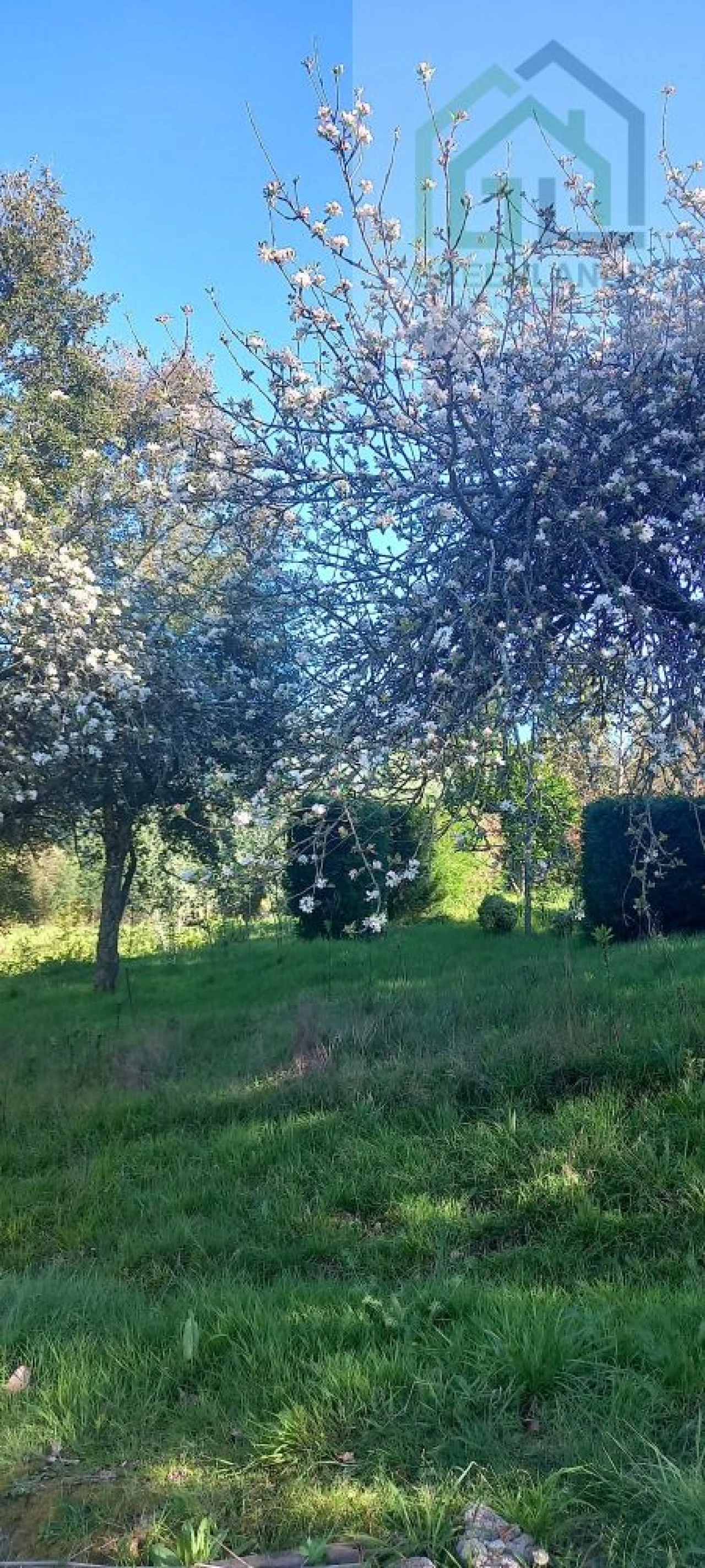 Quinta T8 para Venda em Serpins Foto 59