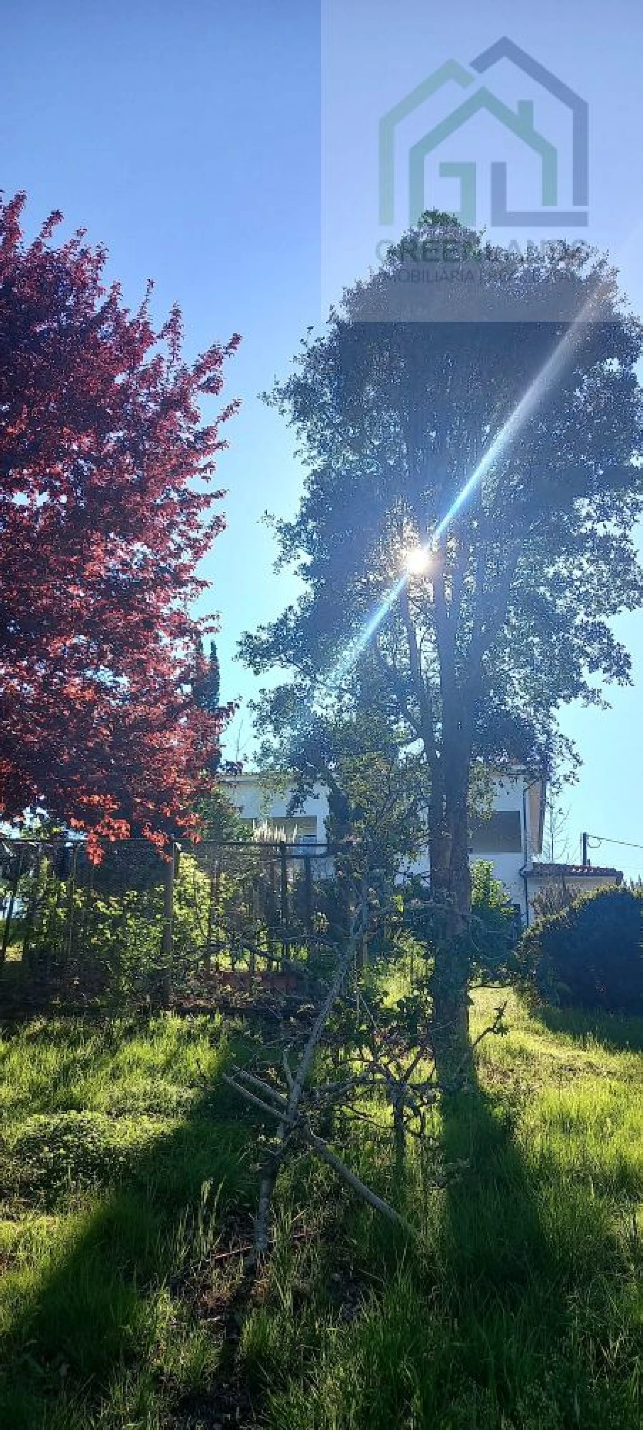 Quinta T8 para Venda em Serpins Foto 60