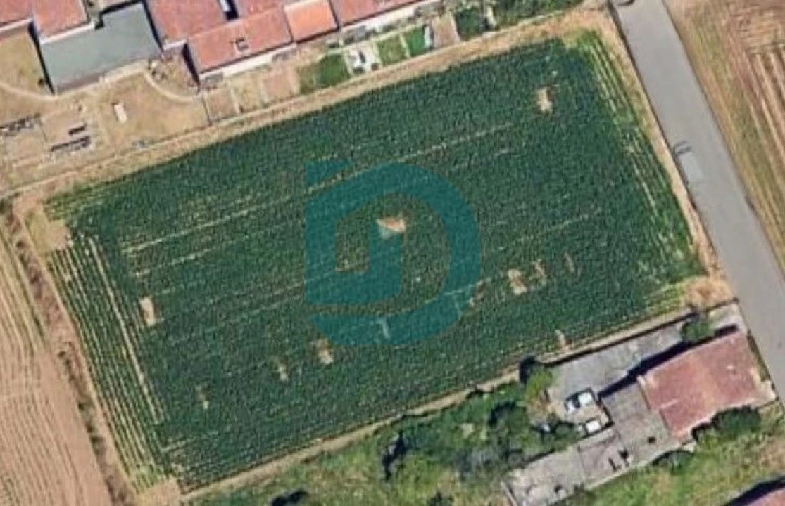 Terreno para Venda em Vilar e Mosteiró Foto 2