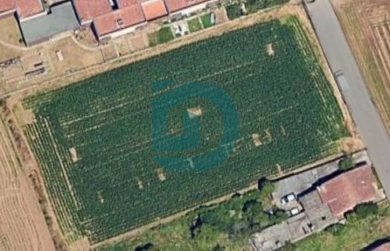 Terreno para Venda em Vilar e Mosteiró