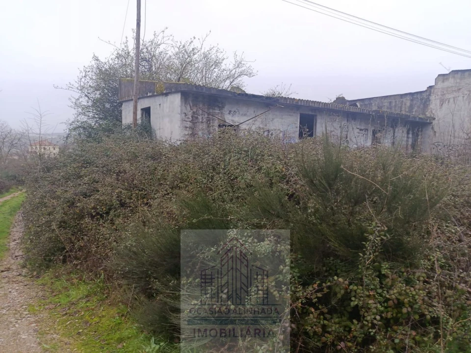 Terreno para Venda em Oliveira do Hospital e São Paio de Gramaços Foto 10