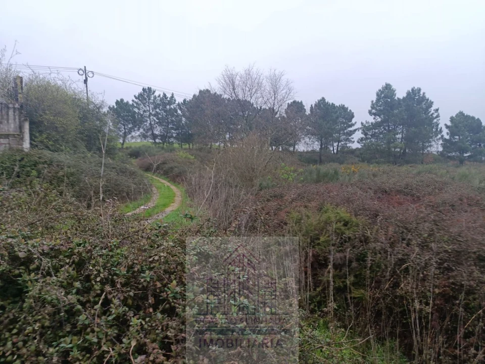 Terreno para Venda em Oliveira do Hospital e São Paio de Gramaços Foto 4