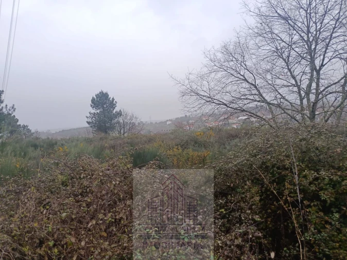 Terreno para Venda em Oliveira do Hospital e São Paio de Gramaços Foto 8