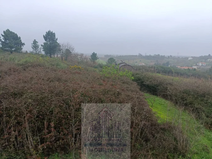 Terreno para Venda em Oliveira do Hospital e São Paio de Gramaços Foto 5