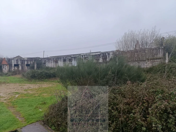 Terreno para Venda em Oliveira do Hospital e São Paio de Gramaços Foto 6