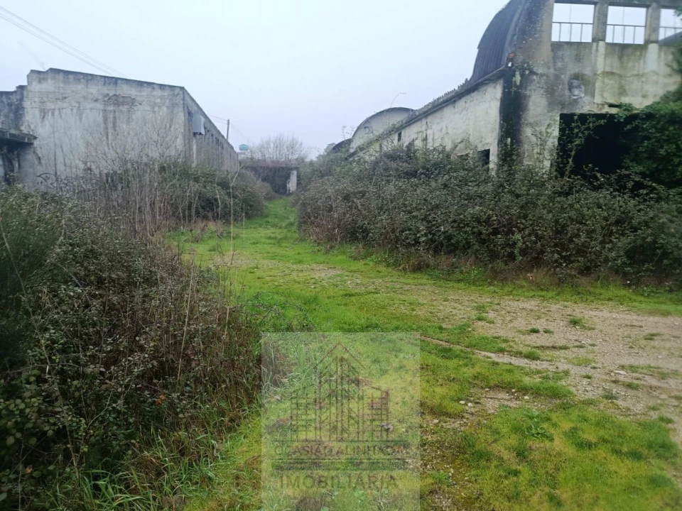 Terreno para Venda em Oliveira do Hospital e São Paio de Gramaços Foto 9