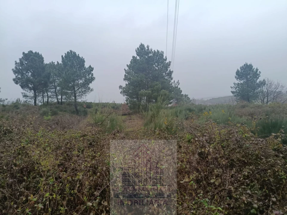 Terreno para Venda em Oliveira do Hospital e São Paio de Gramaços Foto 7