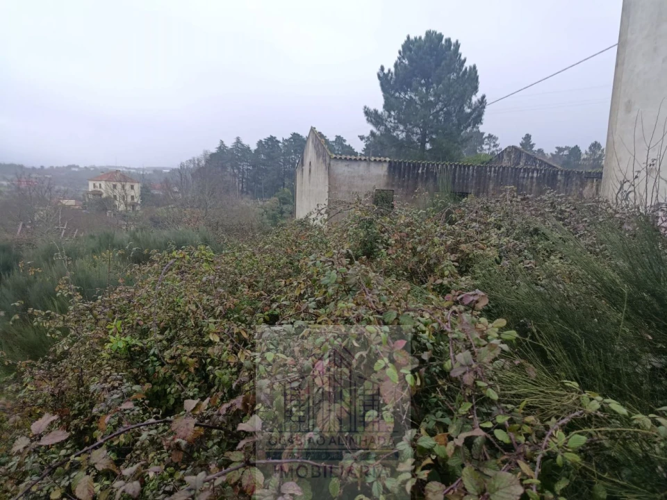 Terreno para Venda em Oliveira do Hospital e São Paio de Gramaços Foto 3