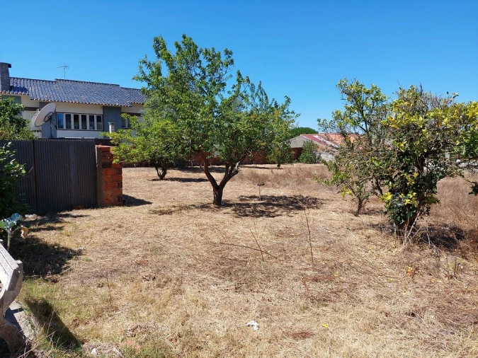 Moradia T3 para Venda em Souto da Carpalhosa e Ortigosa Foto 20