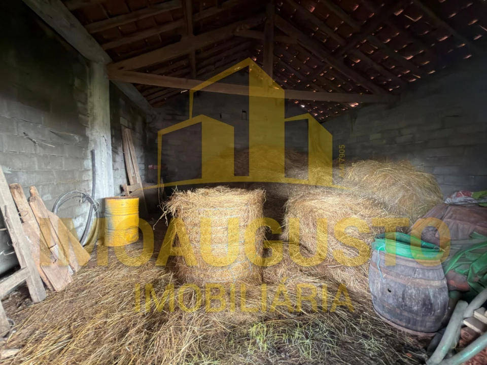 Moradia T3 para Venda em Pousafoles do Bispo, Pena Lobo e Lomba Foto 16