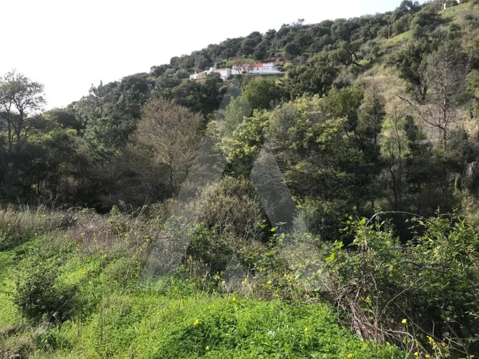 Terreno para Venda em Monchique Foto 13