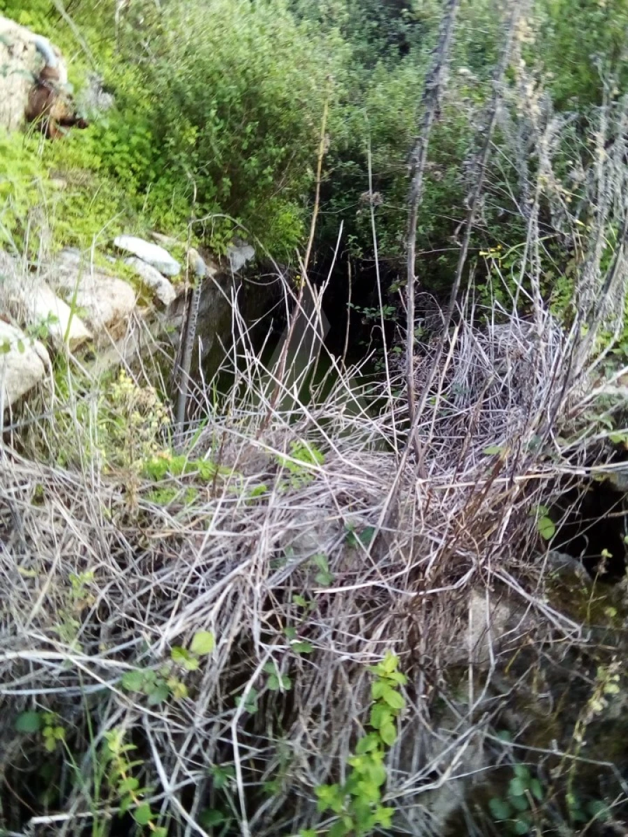 Terreno para Venda em Monchique Foto 12