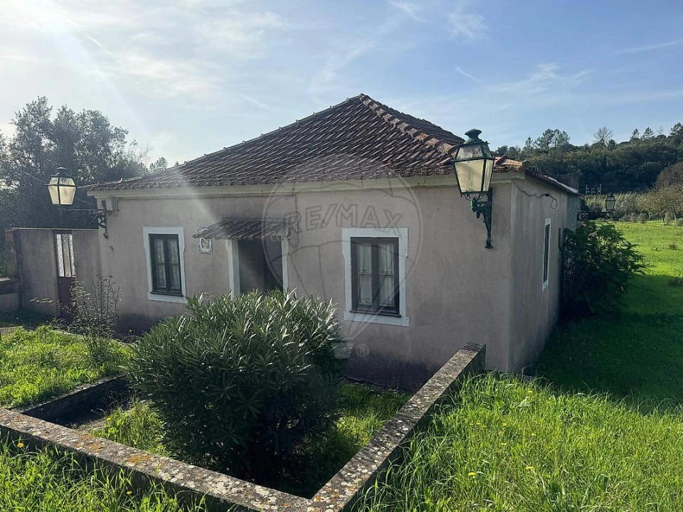 Moradia T2 para Venda em Madalena e Beselga Foto 3