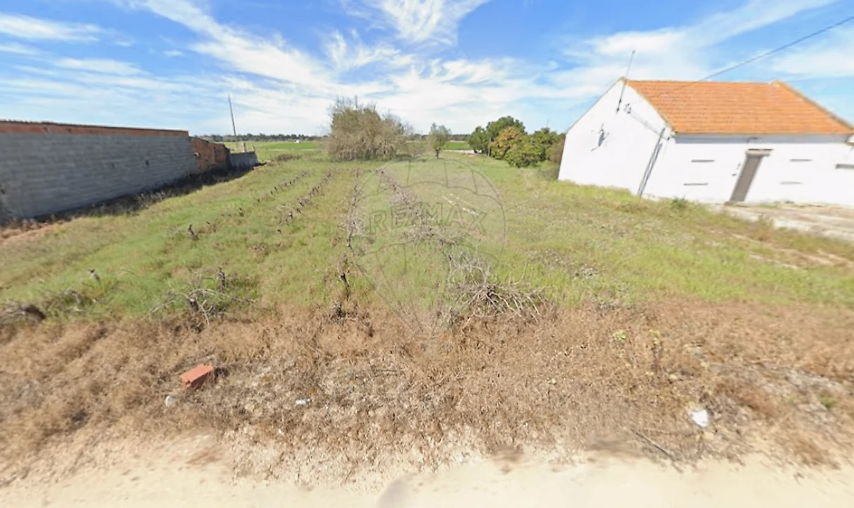 Terreno para Venda em Salvaterra de Magos e Foros de Salvaterra Foto 4