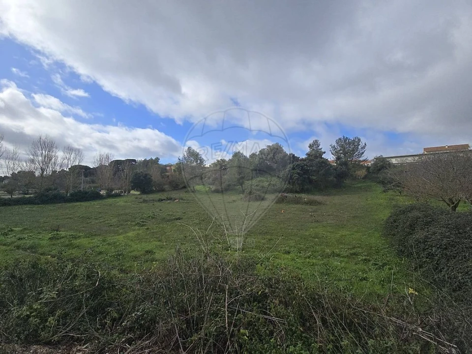 Terreno para Venda em Meca Foto 4