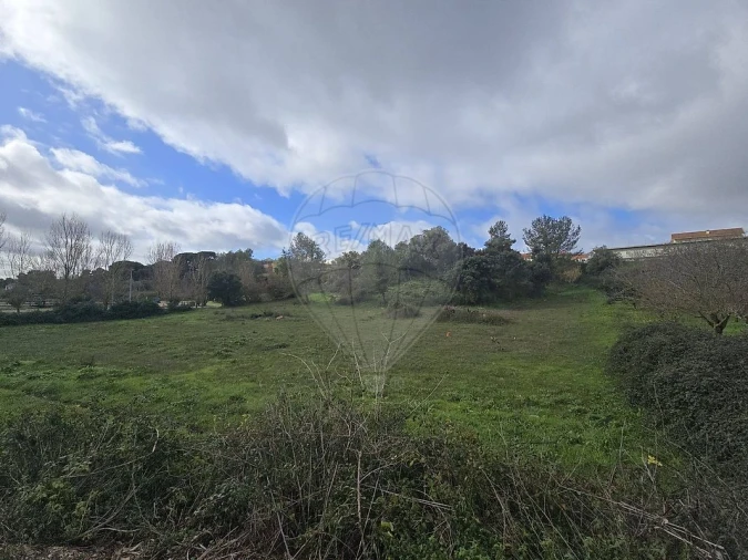 Terreno para Venda em Meca Foto 4