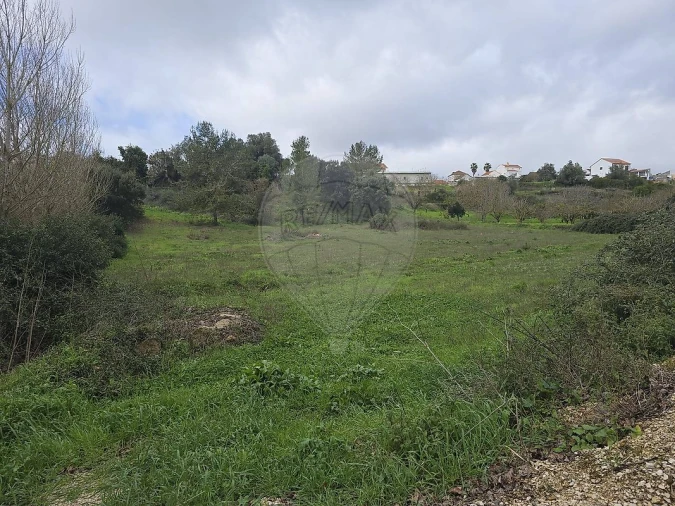 Terreno para Venda em Meca Foto 5