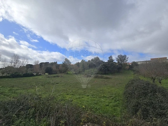 Terreno para Venda em Meca Foto 3