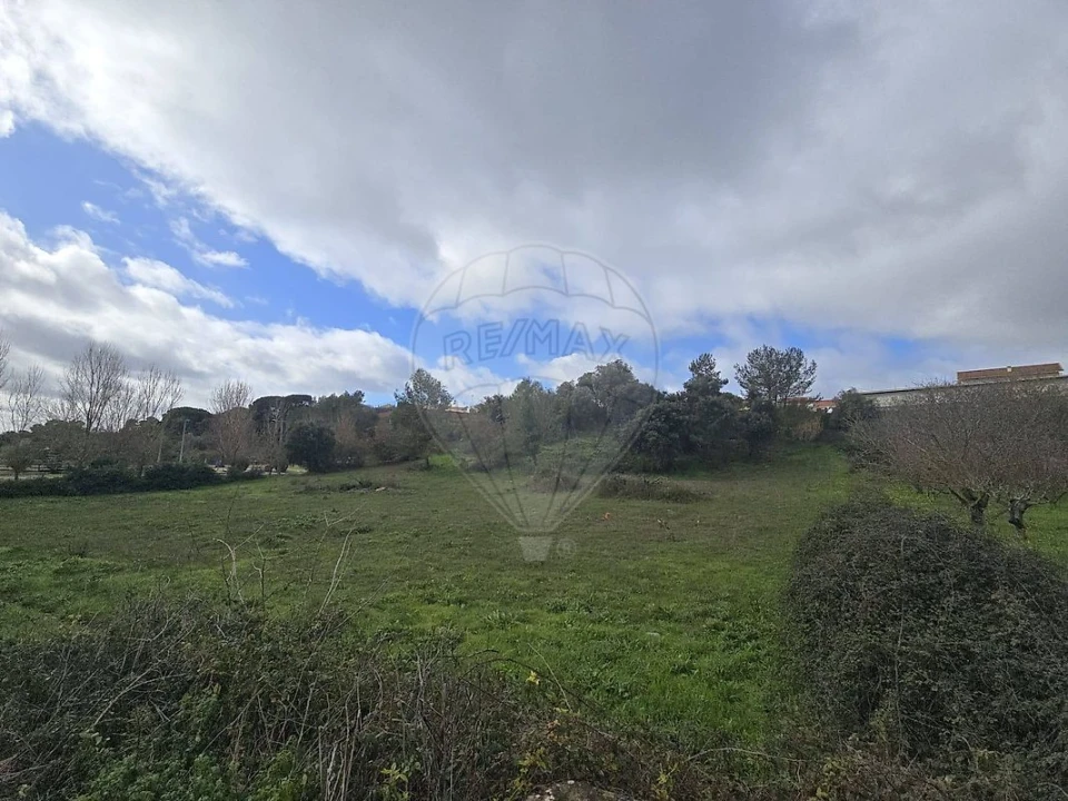 Terreno para Venda em Meca Foto 3