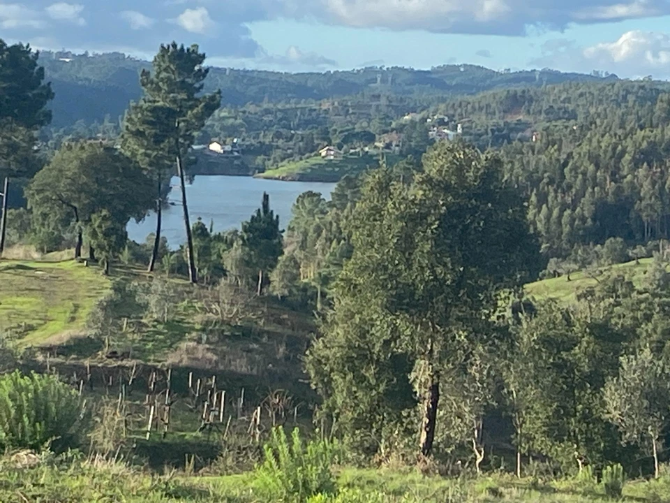 Terreno para Venda em Aldeia do Mato e Souto Foto 7