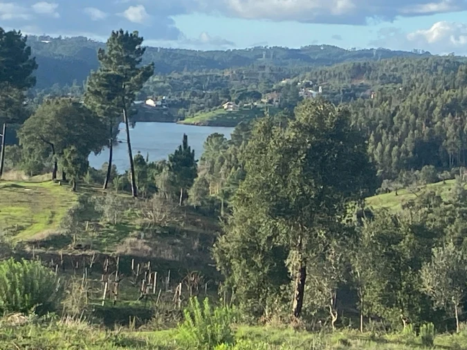Terreno para Venda em Aldeia do Mato e Souto Foto 7