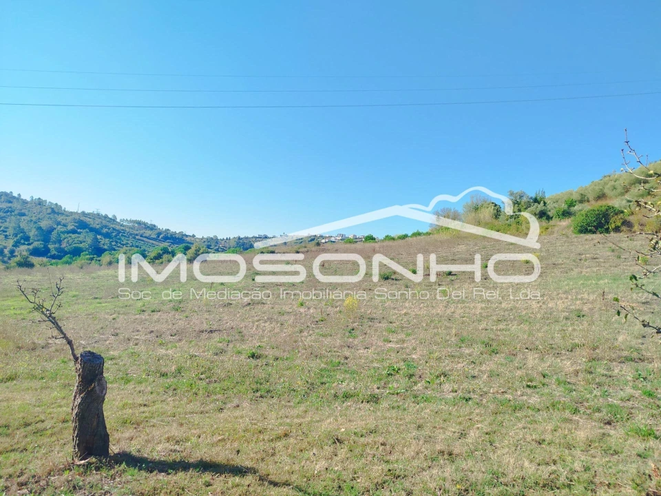 Terreno para Venda em Leiria, Pousos, Barreira e Cortes Foto 2