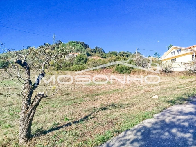 Terreno para Venda em Leiria, Pousos, Barreira e Cortes Foto 7