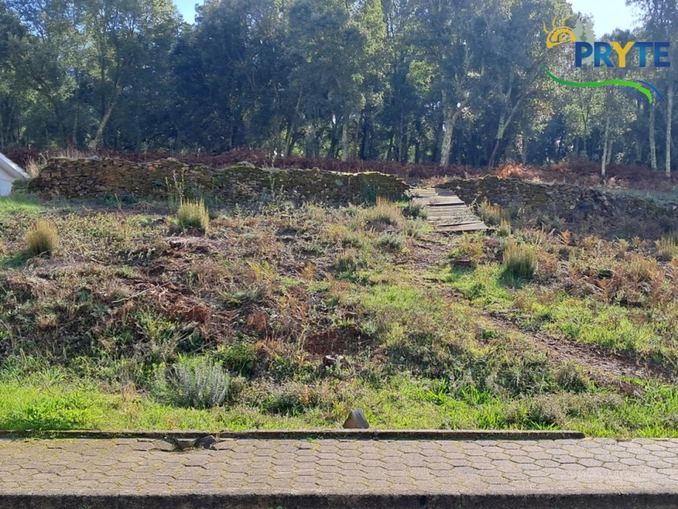 Terreno para Venda em Sertã Foto 1