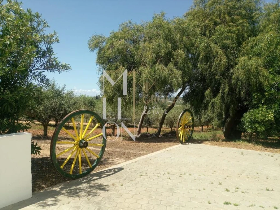 Quinta T6 para Venda em Lagoa e Carvoeiro Foto 18