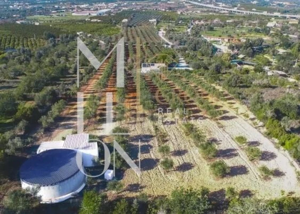 Quinta T6 para Venda em Lagoa e Carvoeiro Foto 5