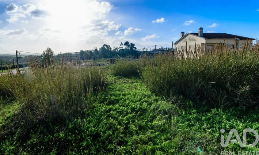 Terreno para Venda em Romeira e Várzea Foto 9