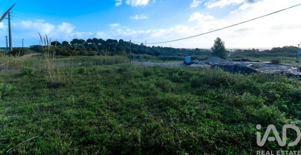 Terreno para Venda em Romeira e Várzea Foto 8