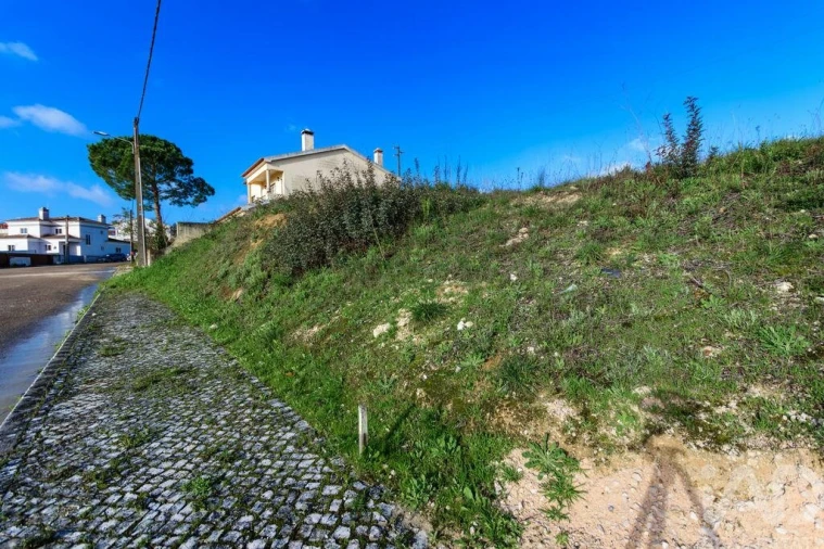 Terreno para Venda em Romeira e Várzea Foto 4
