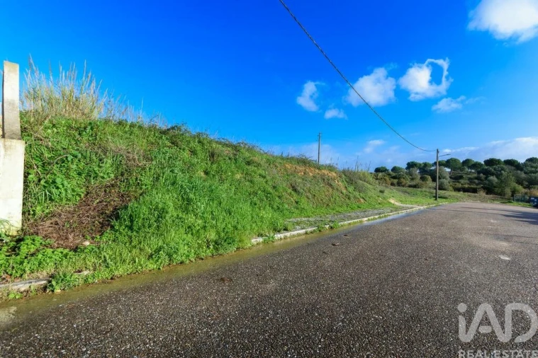 Terreno para Venda em Romeira e Várzea Foto 3
